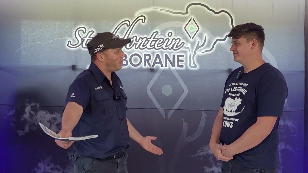 Ons gesels met Dylan Meintjies van Sterkfontein Borane oor sy veiling en hoe hy voel.