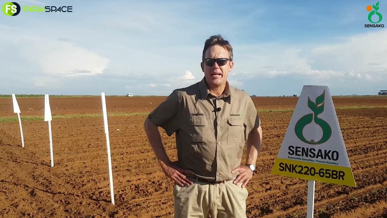 Sensako - Andries oor die Syngenta oorname
