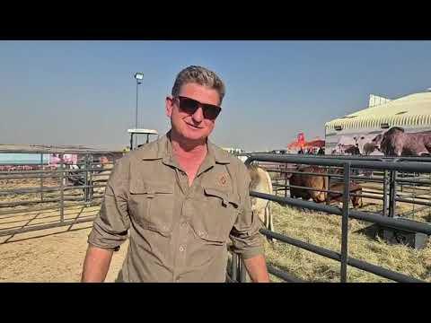 Christopher Havenga gesels met my na die Hurwitz Farming Production Auction 2024.