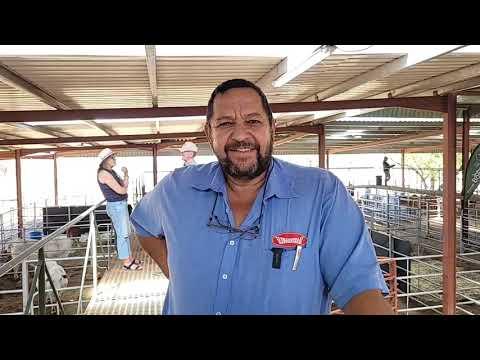 Carel Chambers by die Limpopo Prestige Boran Veiling 2023