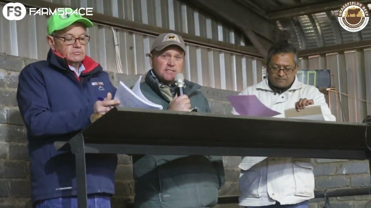 Grassfields Beef & Africa Droughtmaster Recap & Results
