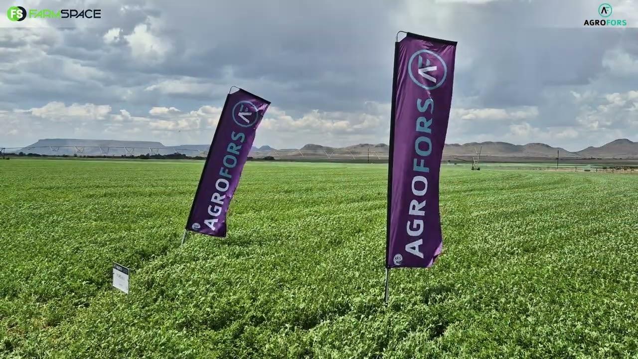 Tegnologie staan vir niemand stil nie en so ook nie die lusern bedryf nie!