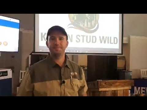 Kroon Stud Wild Veiling 2021