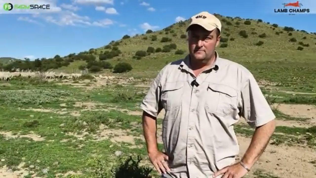 Is jy gereed vir Lamb Champs Pretoria, Bloemfontein en Boland?