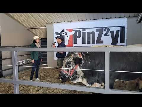 PinZ2yl-SA at NAMPO 2023.