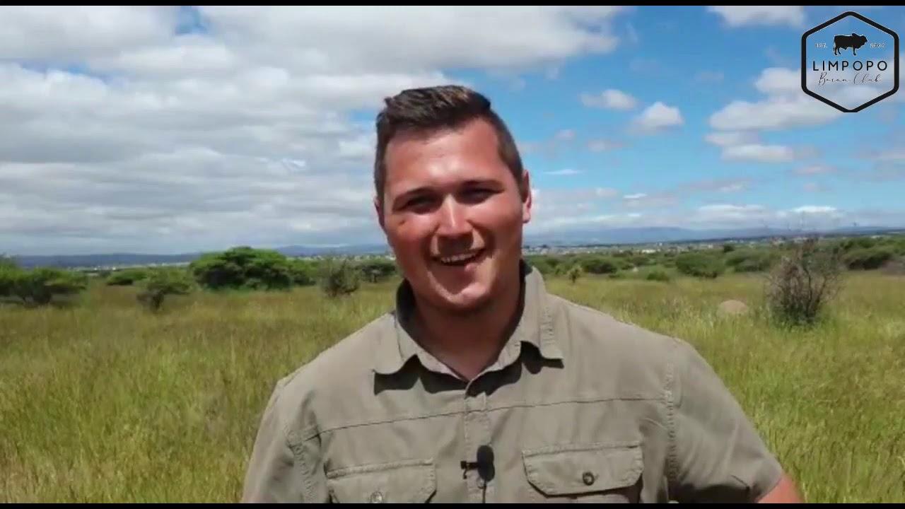 Fase D toets saam met Limpopo Boran Klub