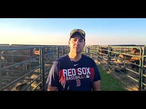 Hurwitz Farming talks to us at the Mpumalanga Boran Auction 2022.