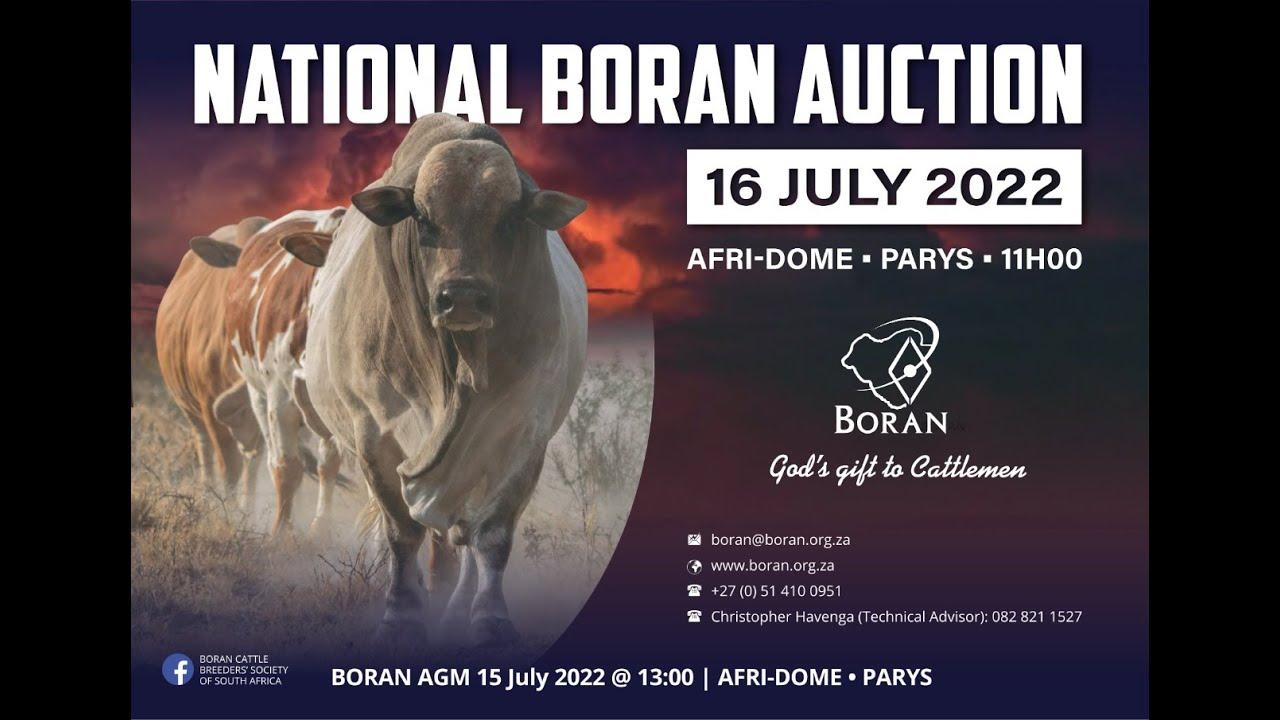 Boran National Auction 2022 - Are you ready?