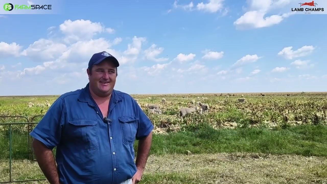 Jaco Muller skryf die jaar 'n kruis Doring Merino en 'n Rooi Baster in vir Lamb Champs 2026.