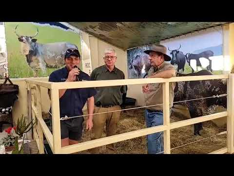 Nampo 2023 - Nico en Oswaldt oor die Nguni Telersgenootskap Suid Afrika.