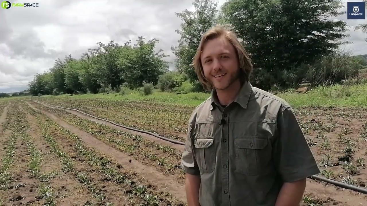 Soek jy 'n oplossing om jou onkruid te beheer? Altus vertel ons meer van Husqvarna se spuite.