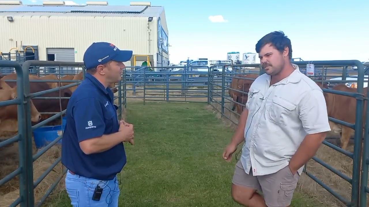 Martin Bam gesels met ons oor ekstensiewe Boran boerdery by die Mpumalanga Borane Veiling 2022.