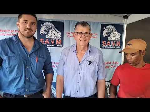 Wenner van die Swaar lamram kompetisie by SAVM Nasionale Skou 2023