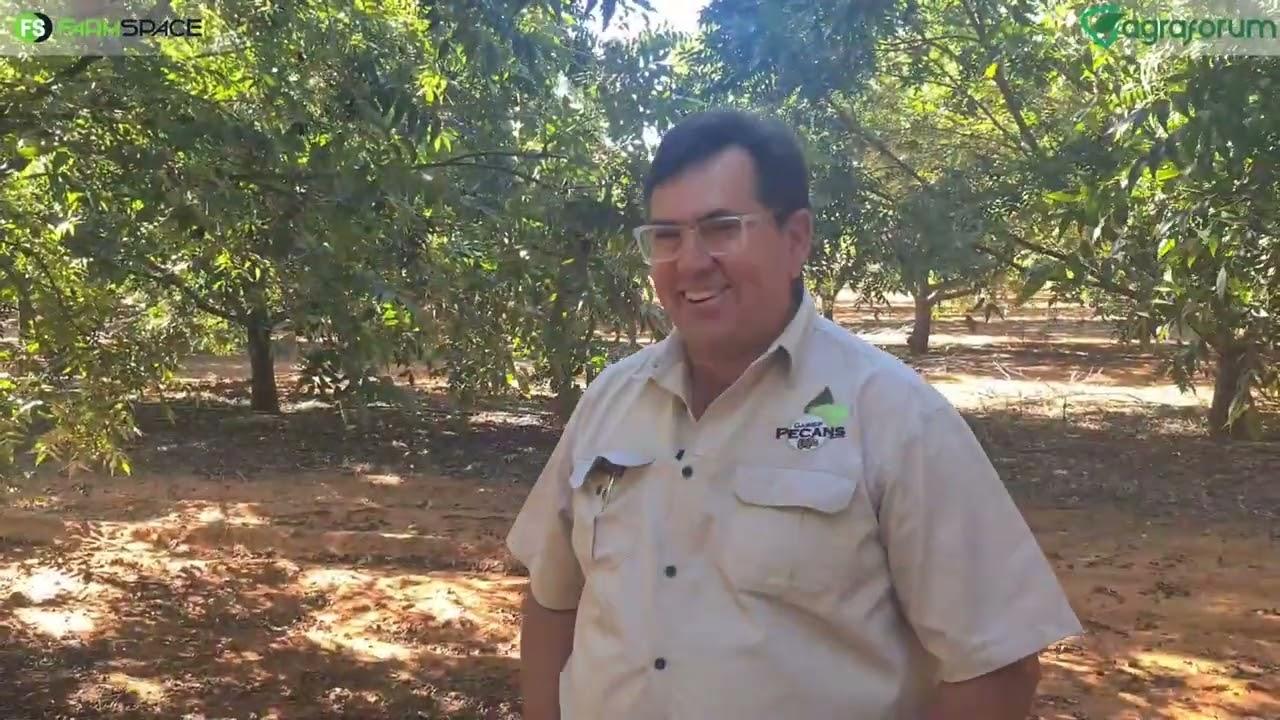 Kan jy sink deur ‘n pekanneut se wortels gee? Jan gee ervaring met AgraForum.