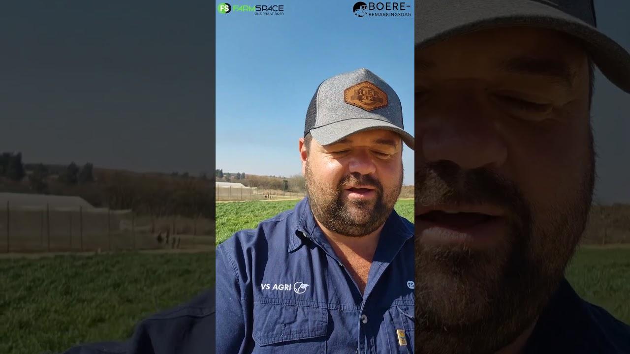 Hoekom moet jy by Vivo Boerebemarkingsdag 2024 uitkom?