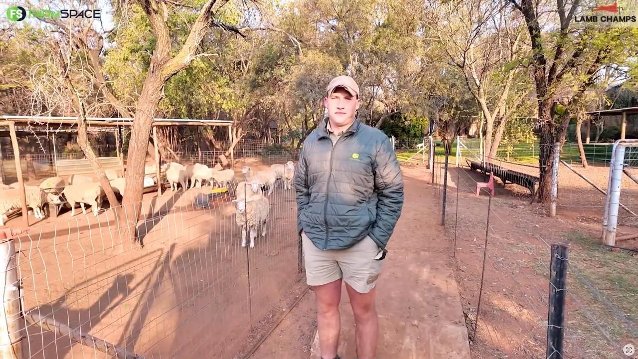 Kilaan Schoeman skryf die jaar 'n Dormer lam in vir Lamb Champs 2026.