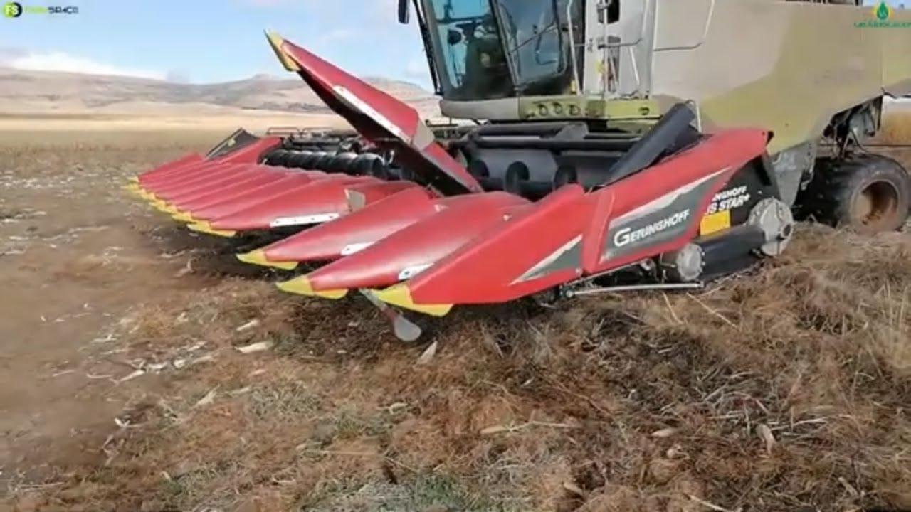 Geringhoff Mais Star MS1200 (2021) op die VS Groeiersgroep Veiling 20 Augustus 2022