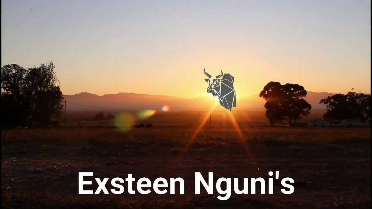 Exsteen Nguni Aanlyn Produksie Veiling 25 November 2020
