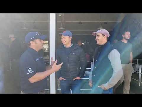 Nampo 2023 - Merino SA
