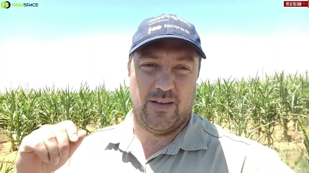 Pay As You Farm is vir seker die ideale versekerings produk vir jou!