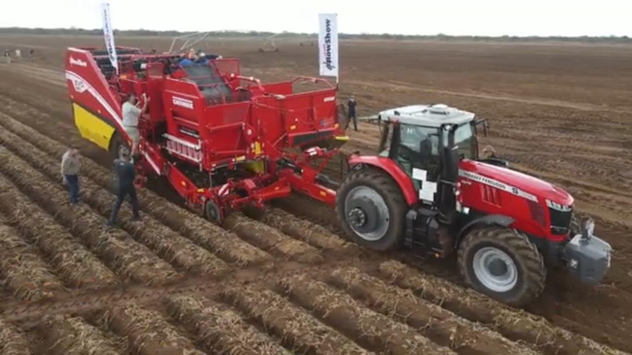 Haal effektief aartappels uit met Massey Ferguson en Grimme! Die Red Giants gaan jou uitsort.