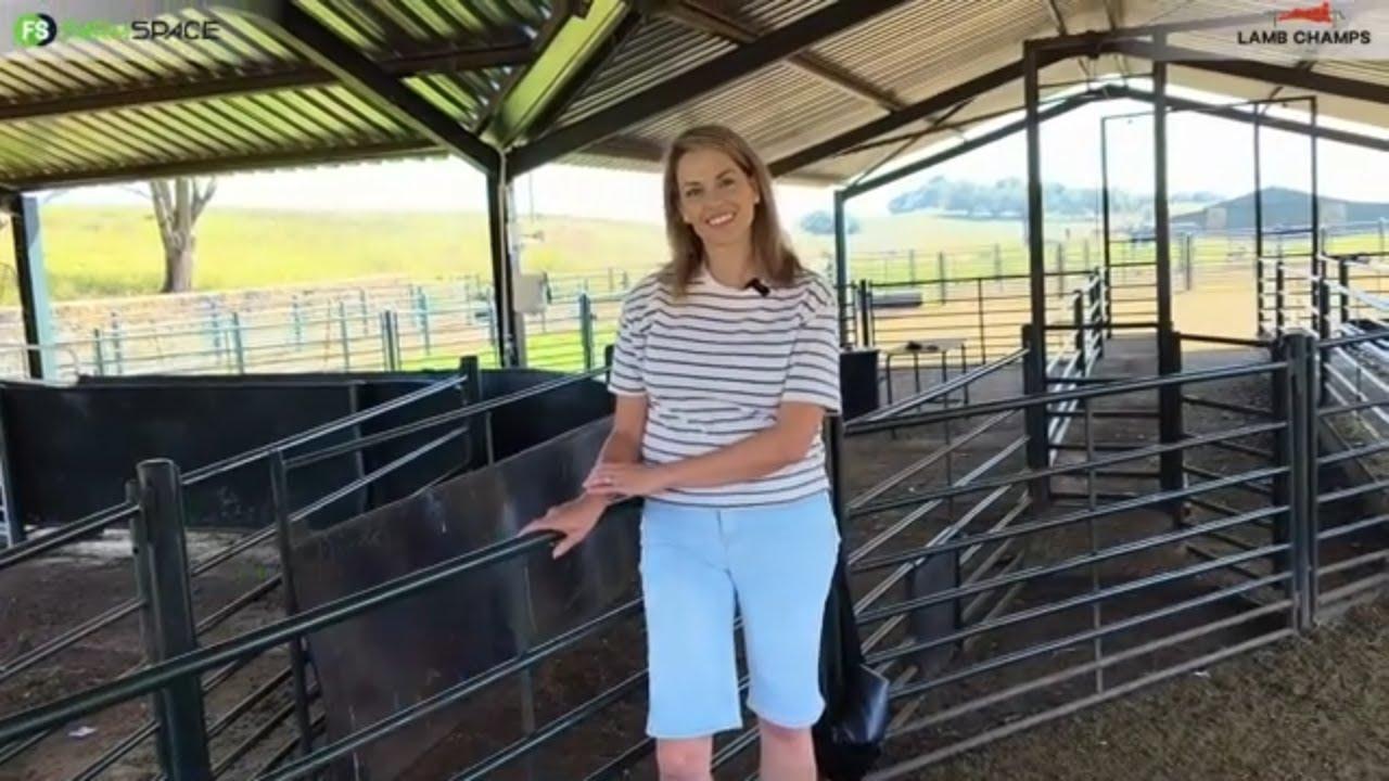 Ancois Potgieter van Boschmer Boerdery vertel ons oor haar opstel met die Merino ras.