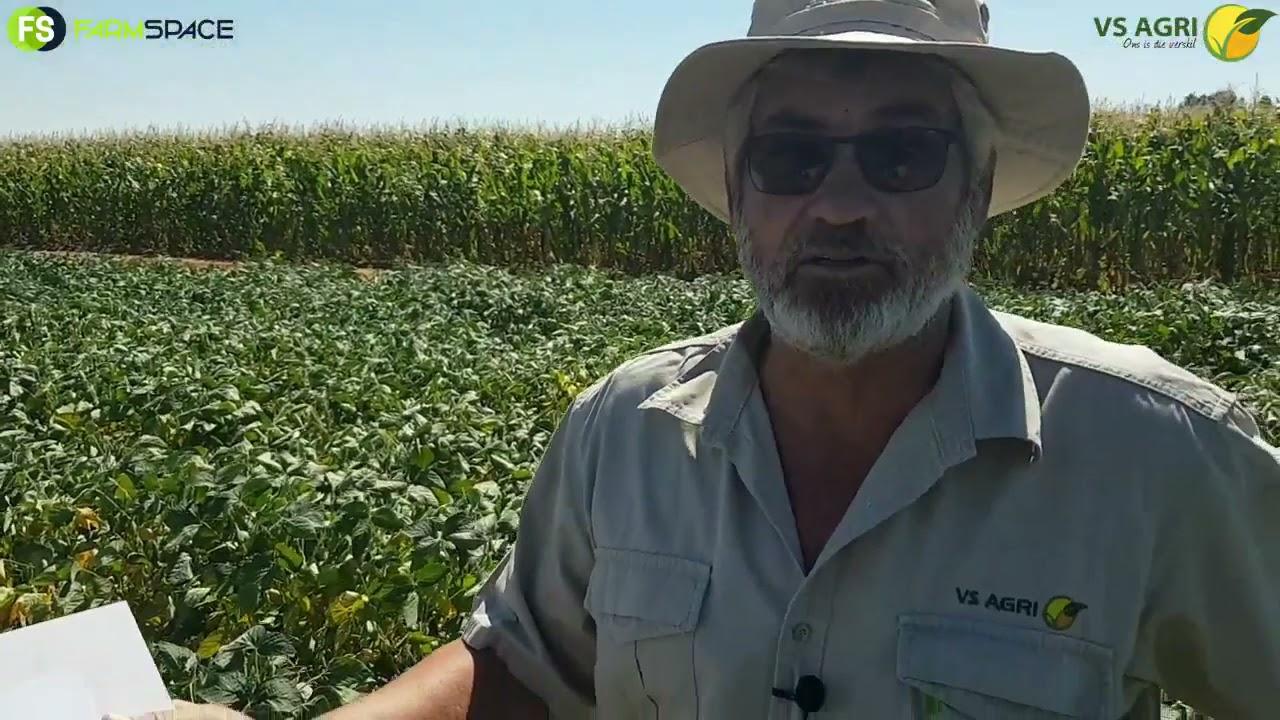 VS Agri - Gas en Semi-Organiese Kunsmis op Sojas