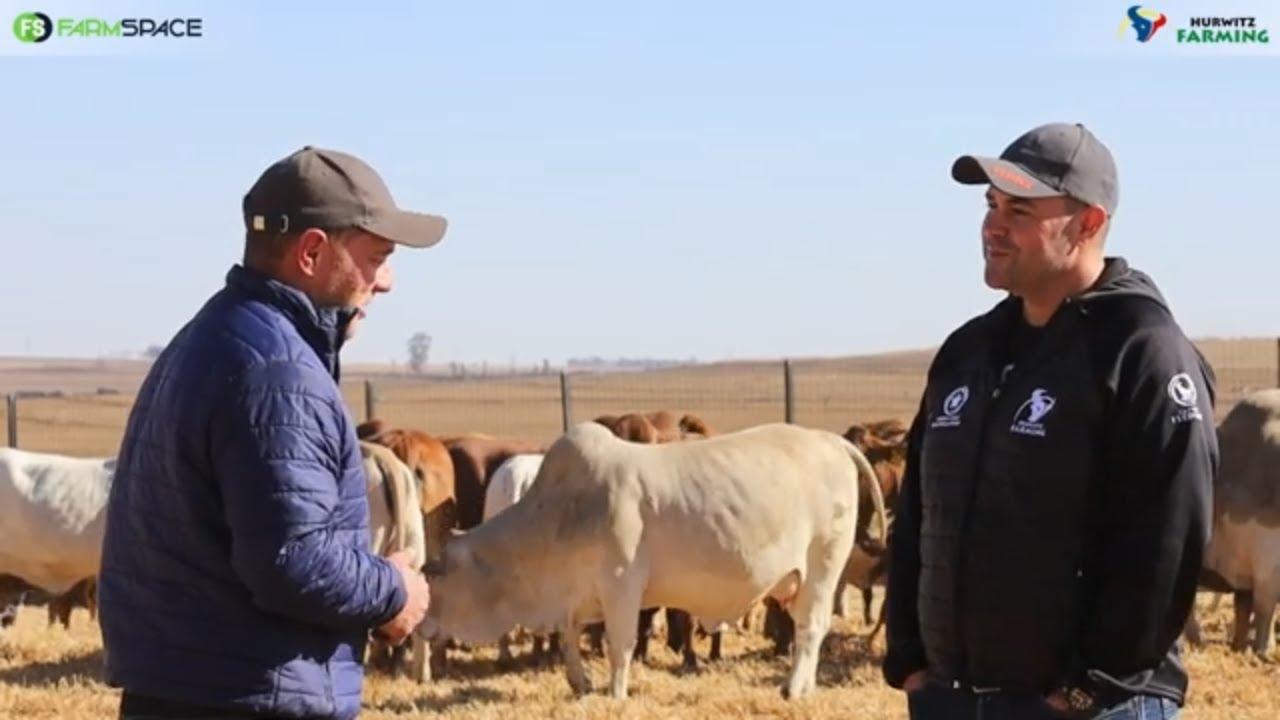 There is always something special happening at Hurwitz Farming.