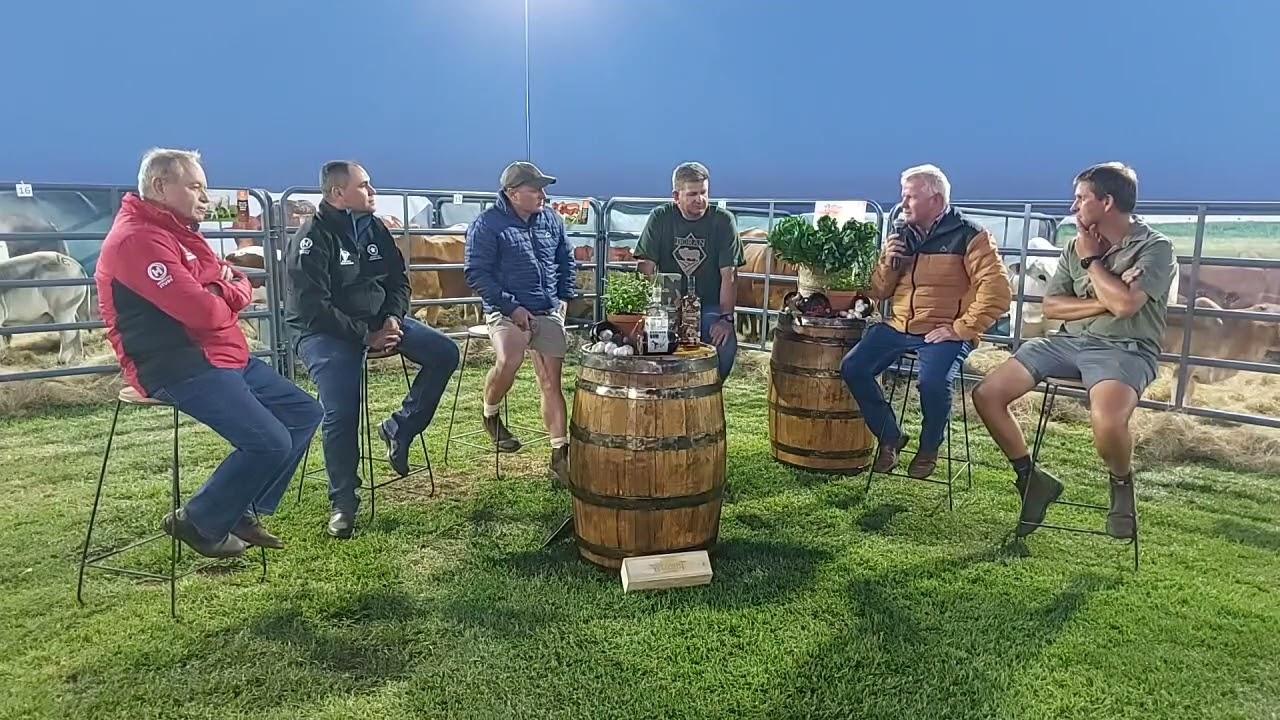 Chat 'n bietjie bull. Live from the Boran Collaboration Auction.