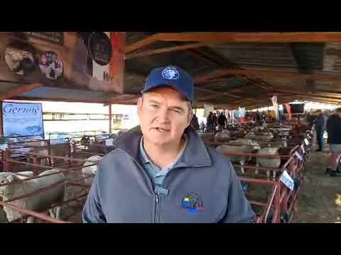 23ste Overvaal Ile de France veiling begin om 11am, Stefan vertel ons meer.