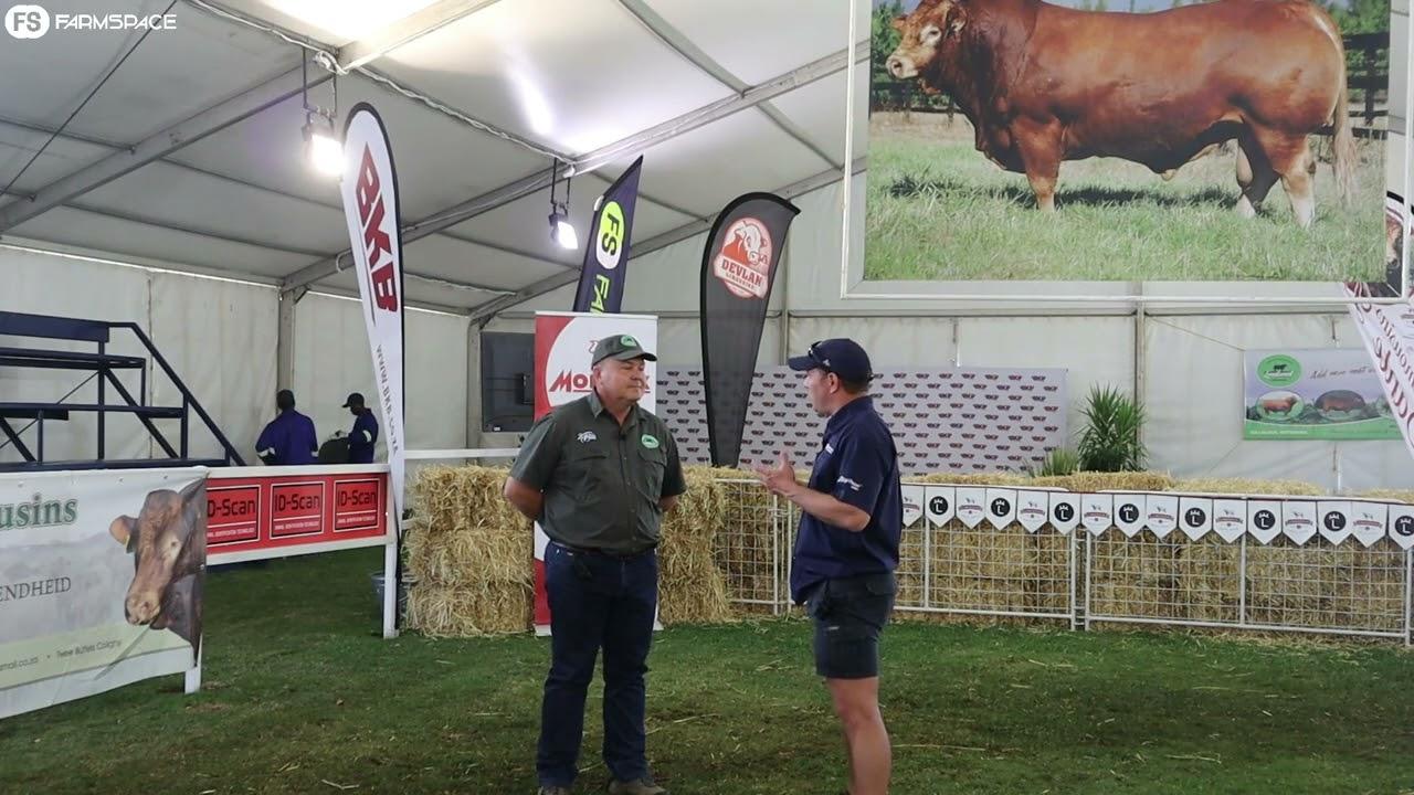 Jan Stiglingh gave us some feedback  on what is happening at the Limousin SA National Championships.