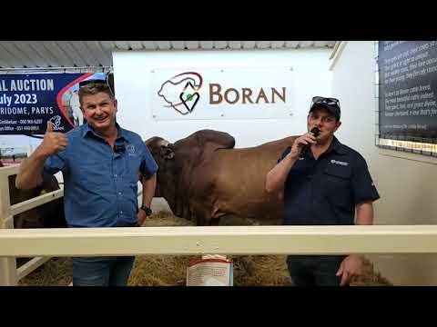 NAMPO 2023, Christopher Havenga van die Boran Genootskap