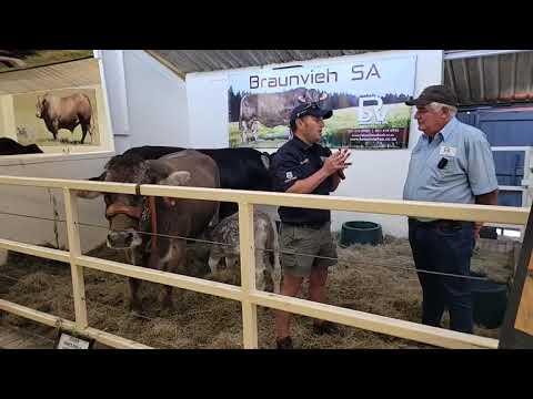 NAMPO 2023: Gawie Naudé van Braunvieh