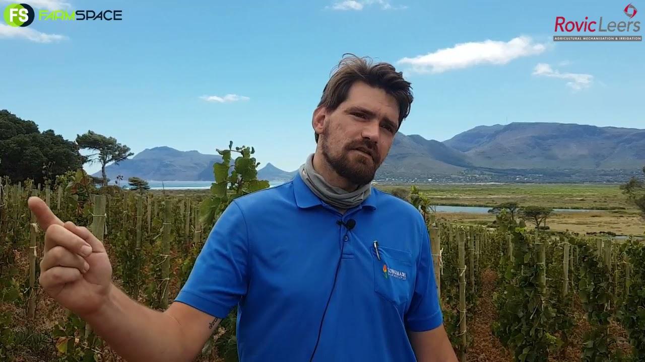Hoekom gebruik Theo van Longman's Rovic Leers Besproeiing?