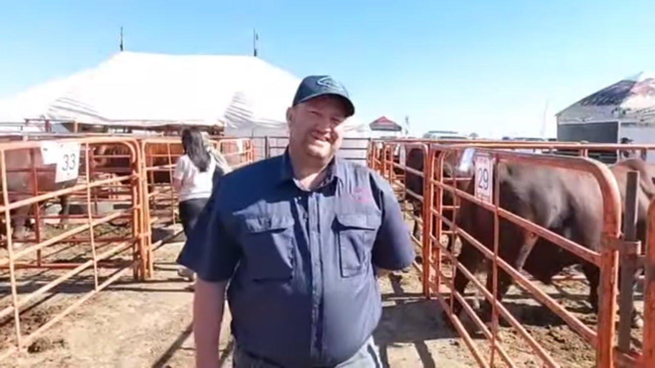 Riaan van Red Barrel Stud Breeders die oggend van die Selection Sale by Jumardi Santa's se veiling.