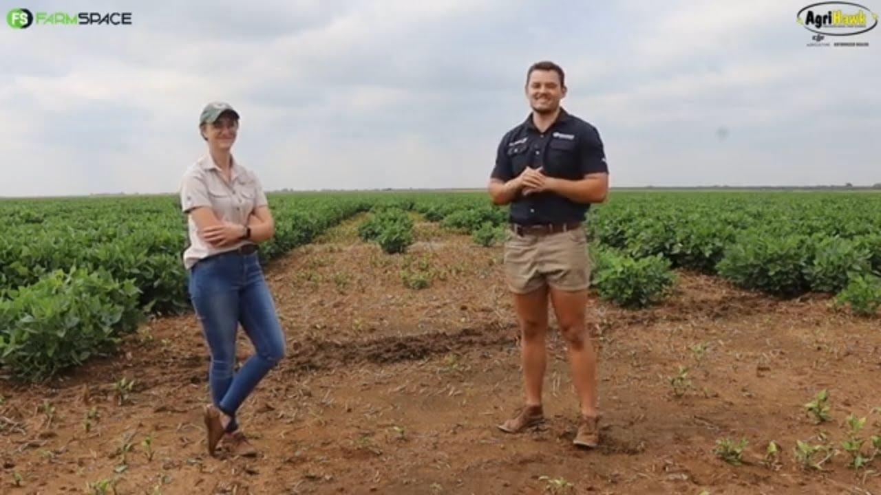 Watter kwalifikasies het Agrihawk se drone vlieëniers? Megan vertel ons meer.
