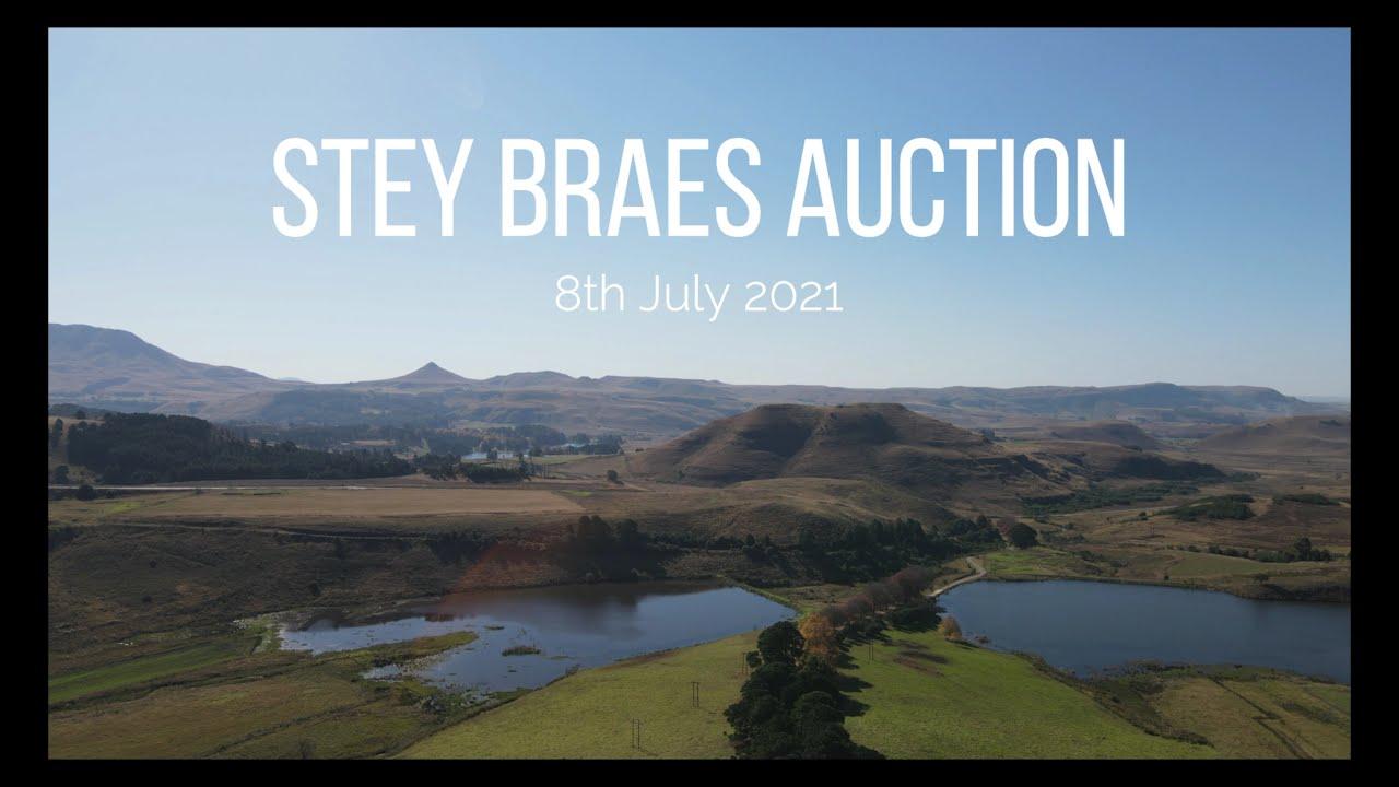 Stey Braes 24th Annual Production Auction - 8 July 2021