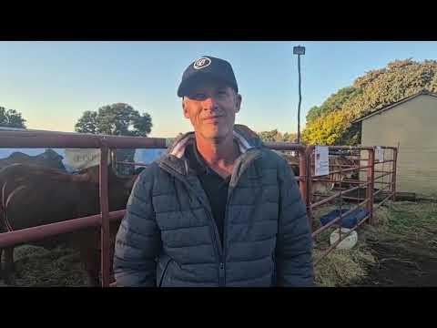 Tom Breytenbach van Brenaissance Wine & Stud Estate gesels oor die Fonteine Borans Produksie Veiling