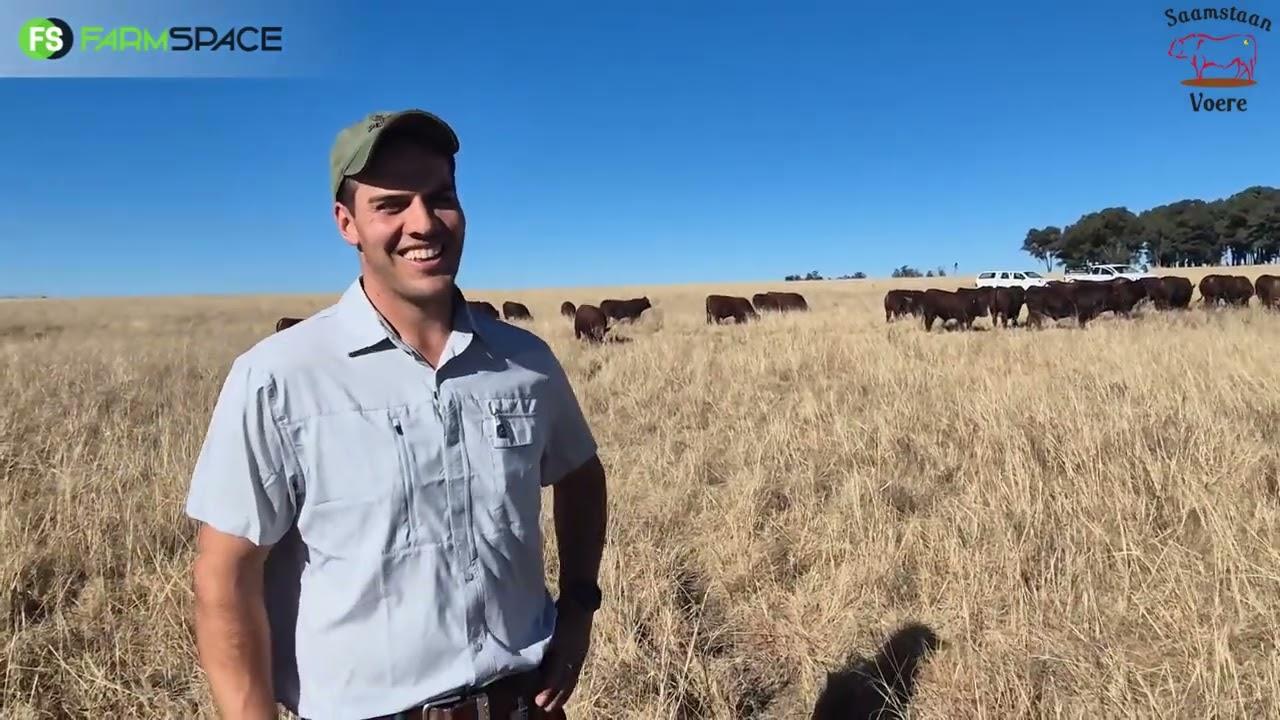 Hoe kan Saamstaan Voere vir jou waarde toevoeg in jou boerdery? MP vertel meer.