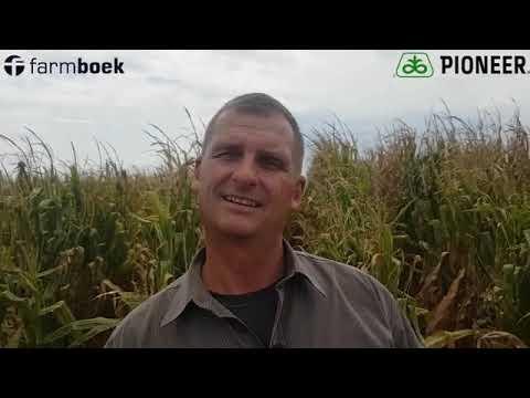 Supplemental Irrigation - Short and long term growers
