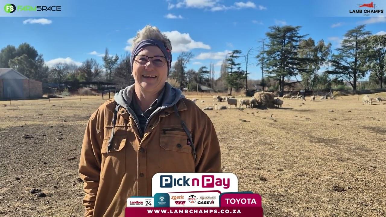 Yolindie Venter skryf die jaar 'n Merino in vir Lamb Champs 2025.