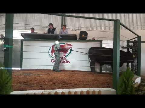 LIVE vanaf SANTA SELECT SALE  Part 1