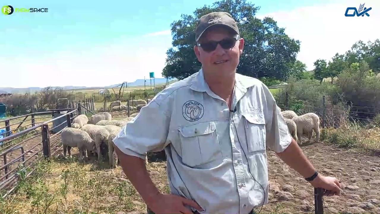 Ons kuier saam met OVK by Jurie en gesels oor die wolbedryf, sy skape en hoe hy dinge benader.