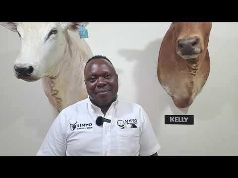 Collin from Sinyo Borans, al die pad van Zimbabwe af, gesels met ons na die Hurwitz Summer Sale.