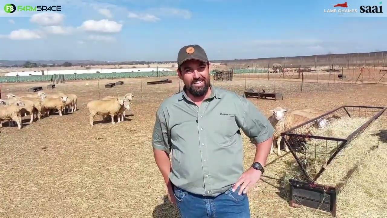 Hoekom het Alwyn van Kleinhans Dormers Stoet 'n dormer in Lamb Champs ingeskryf?