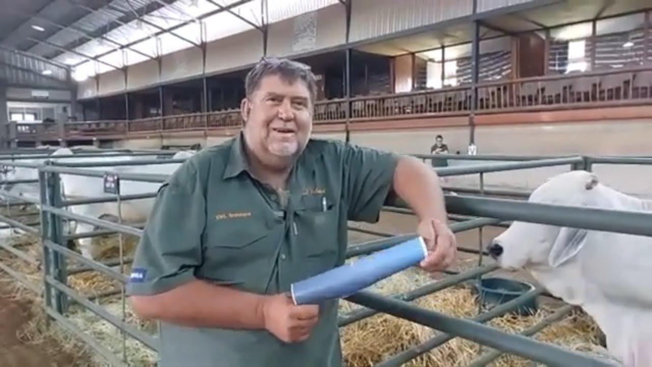 Johan Karsten van Xa-Wi-La Brahmane gesels met ons by die Manso Select Brahman Veiling 2024.