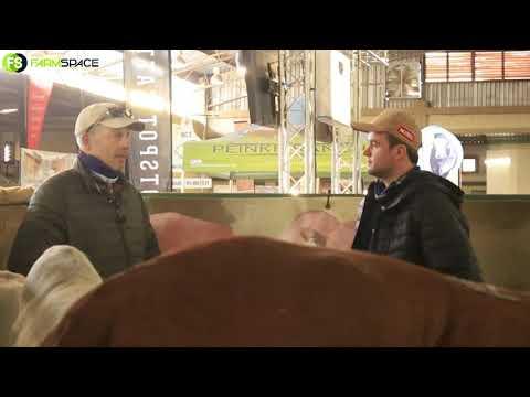 Stephen from Frontier Borans on what we can expect at the Boran National Auction.