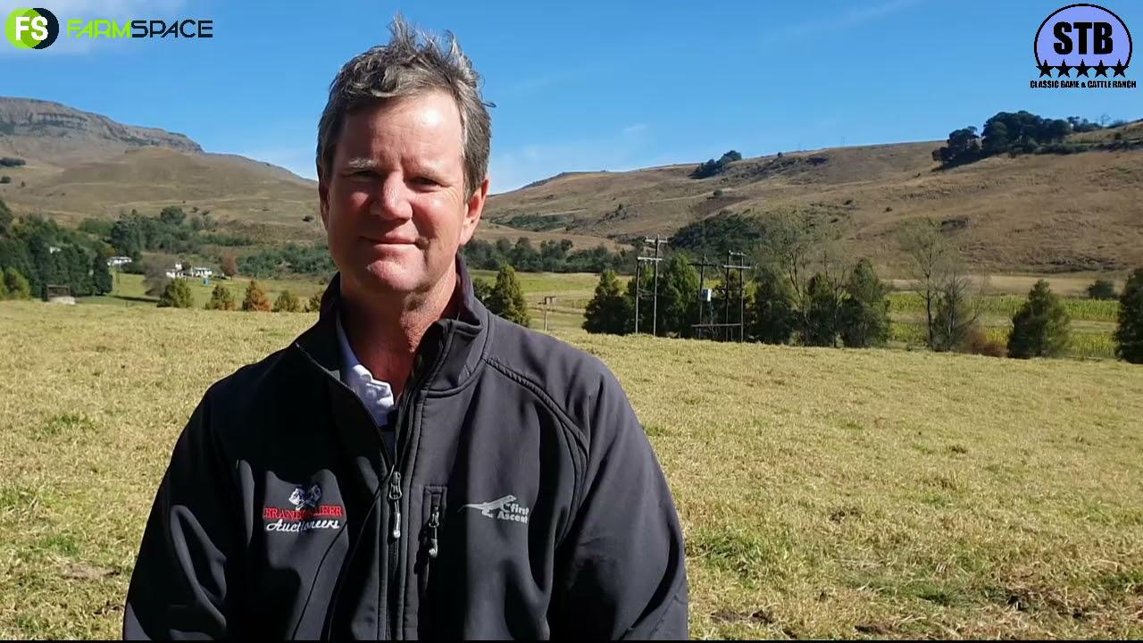 Brandon gesels oor die Stey Braes Stud se 24ste produkse Veiling  se "Line-Up". Wat kan jy verwag?