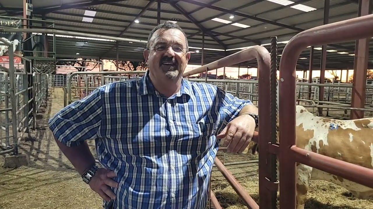 Johan Fourie van Coco Borane by die Limpopo Prestige Boran Veiling 2023