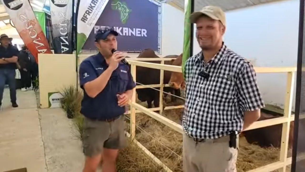 Nampo 2023 - Pierre-André van die Afrikanerbeestelersgenootskap / Afrikaner Cattle Breeders' Society